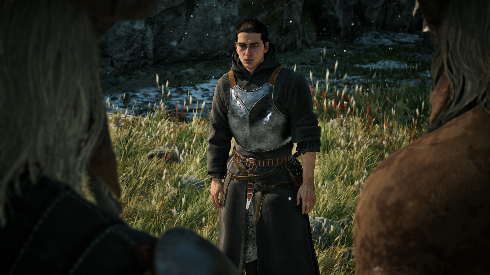 Coen in armor during a daylight encounter in Vale Sangora